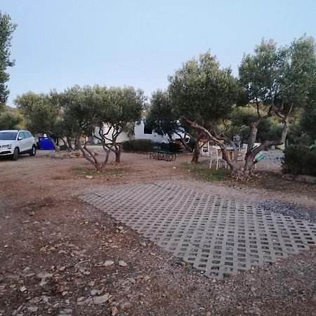 Camp Kopito Hotell Hvar Town Eksteriør bilde