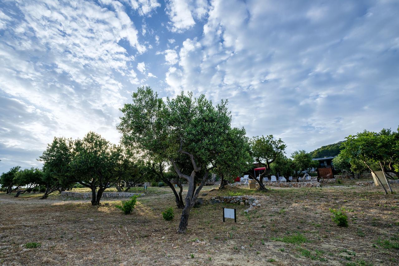Camp Kopito Hotell Hvar Town Eksteriør bilde