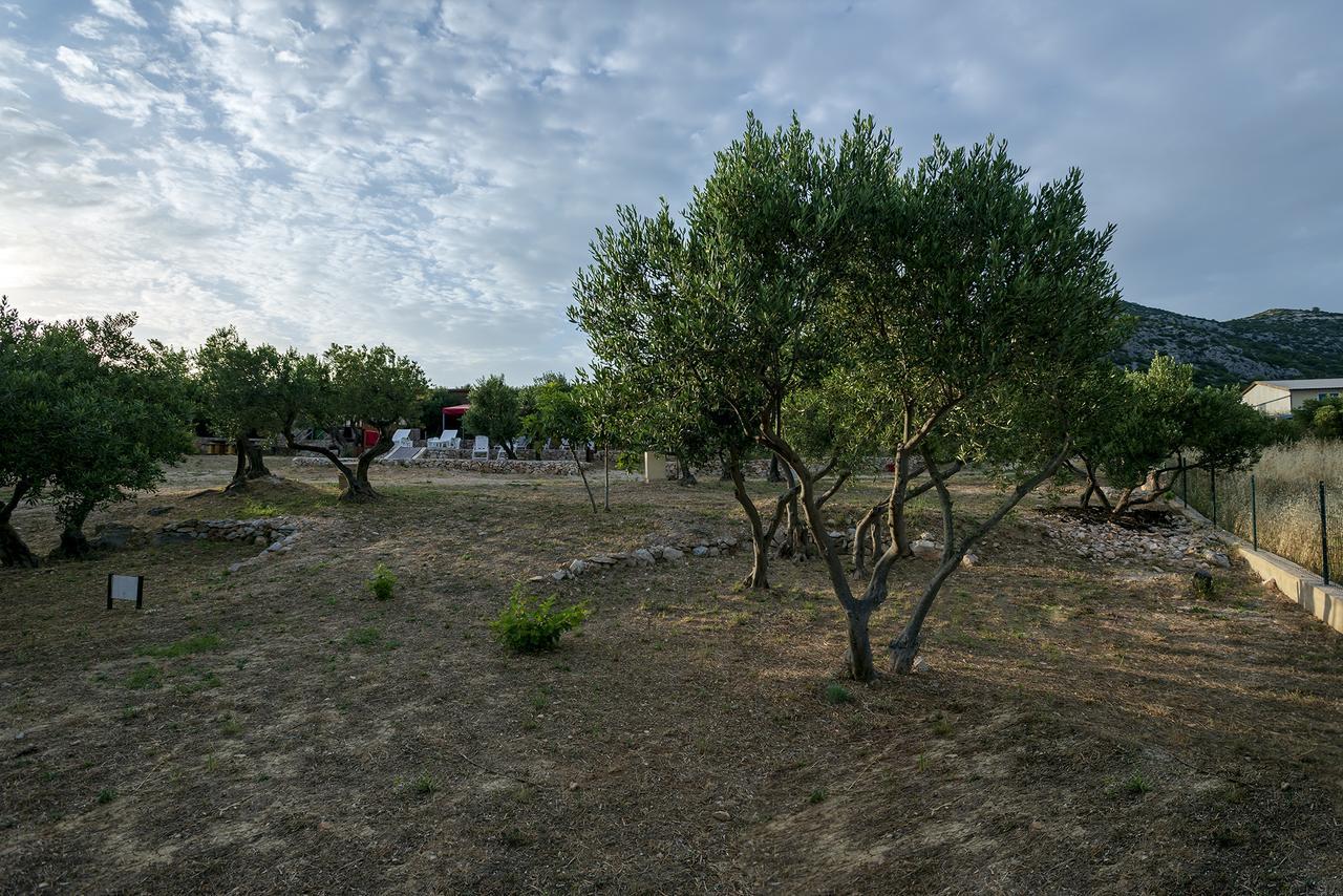 Camp Kopito Hotell Hvar Town Eksteriør bilde